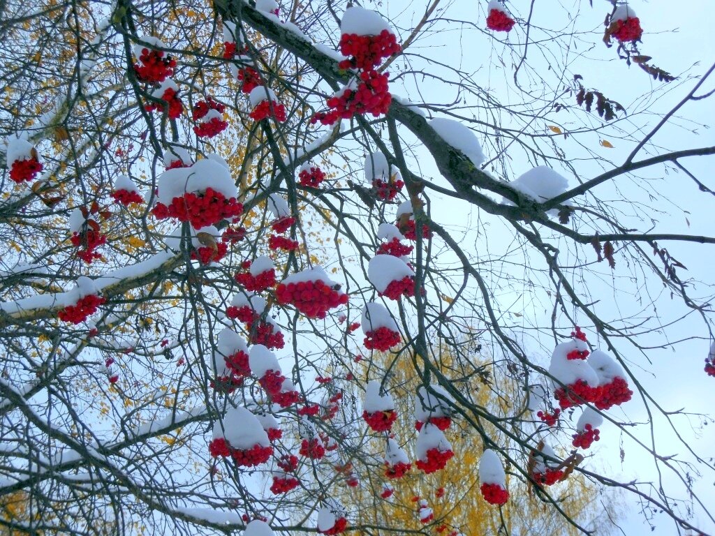 Самая лучшая мистика - природе. Фото автора