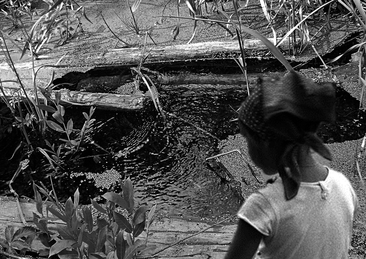 ...чистотой ручей зовет. Каждый свой напиток пьет...