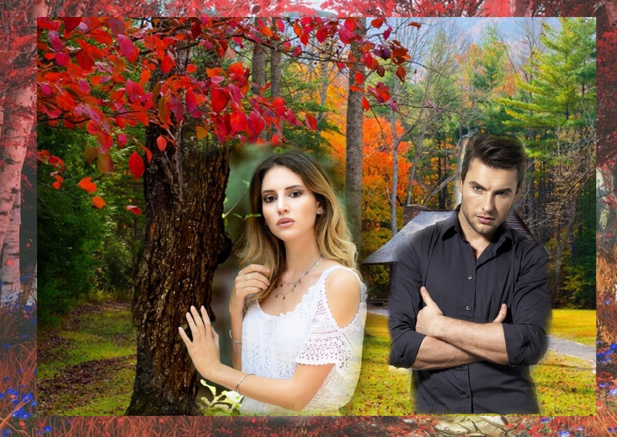 Разговор в домике в лесу