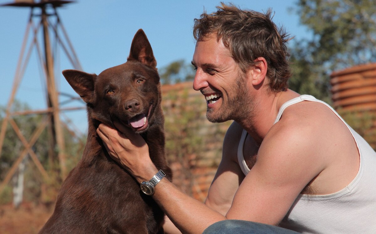 леви миллер. рыжий пес актеры. собака рыжий актер биография. рыжий пес (2011). макс паркер актер рыжий.