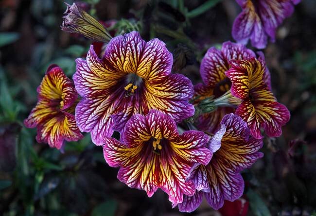 Источник фото: Яндекс. Картинки