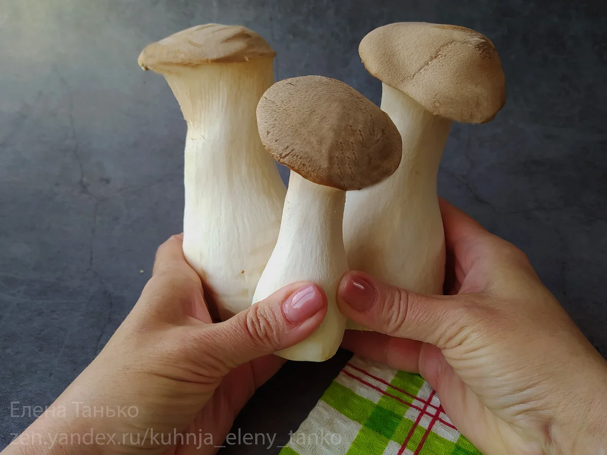 Об этих вкусных и полезных грибах я вам уже рассказывала недавно в отдельной статье (ссылка в конце статьи). Если пропустили — очень советую почитать и присмотреться к ним — они намного полезнее других. 