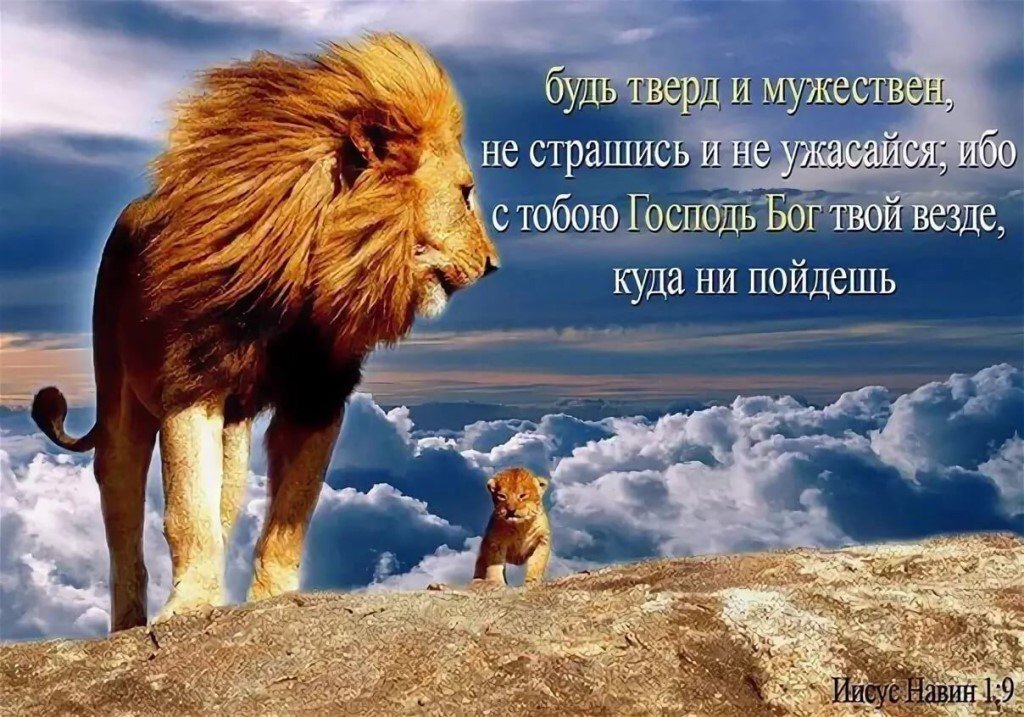 Всегда лев. Будь тверд и мужественен не страшись и не ужасайся. Христианские картинки лучшие. Мотиваторы со львом. Будьте тверды и мужественны не бойтесь и не страшитесь.