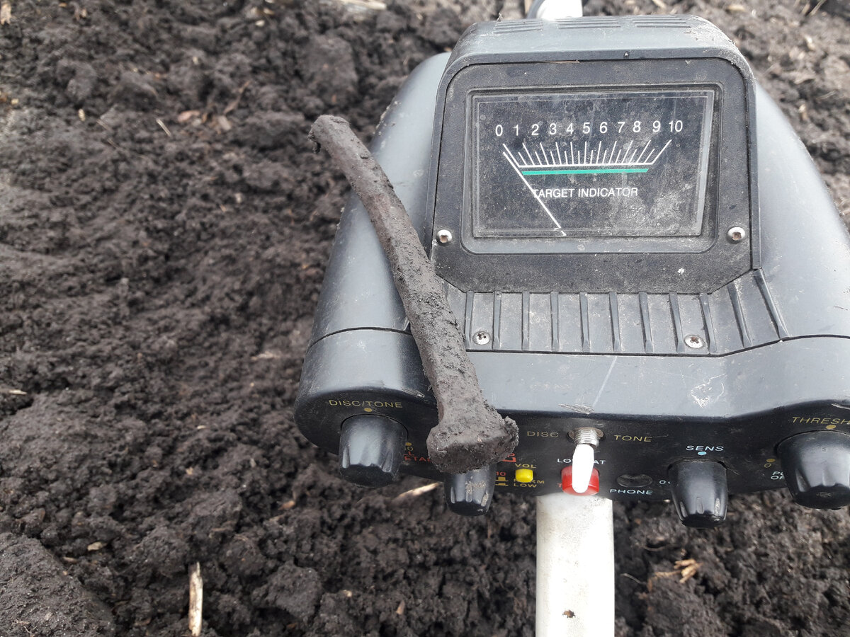 Дорогой артефакт)) Фото автора