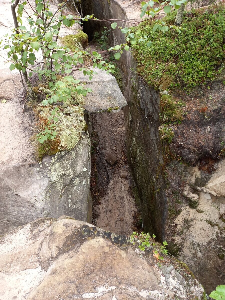 вид с высоты