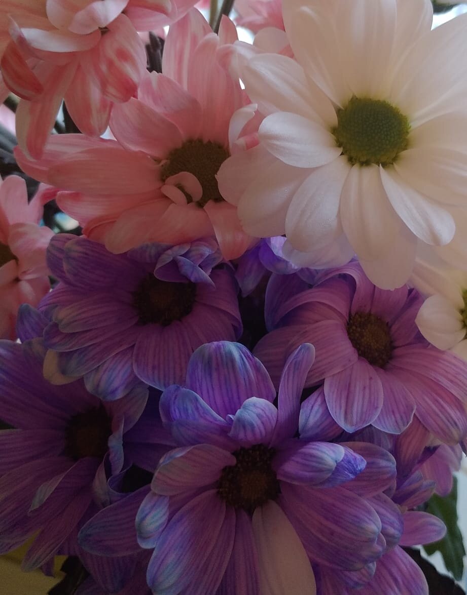 Личное фото