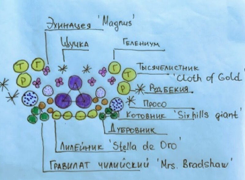 Шпаргалки цветоводу, как правильно создать клумбу непрерывного цветения