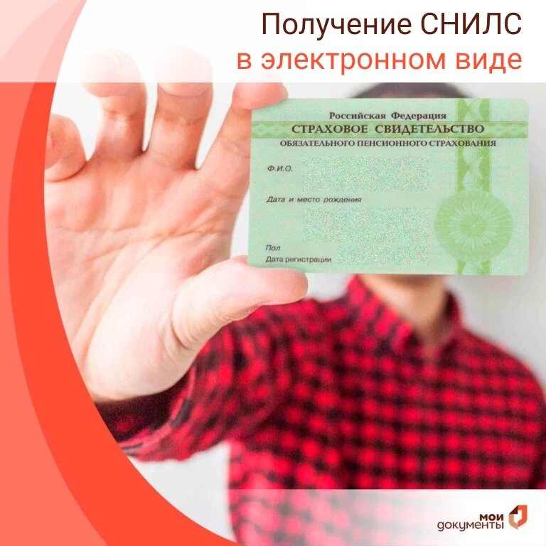 Как выглядит снилс нового образца