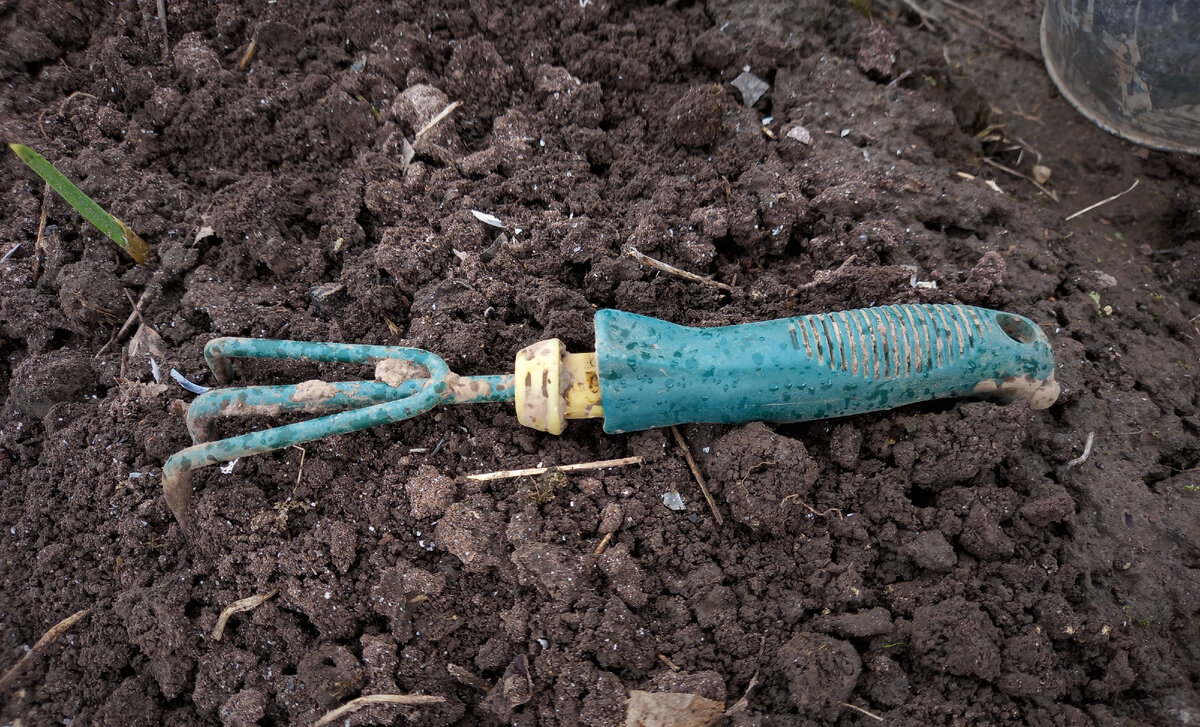 Мой любимый инструмент - маленькая цапочка. В Ярославской области есть такой термин - цапать грядку ))) Вот этой штучкой я ее и цапаю. 