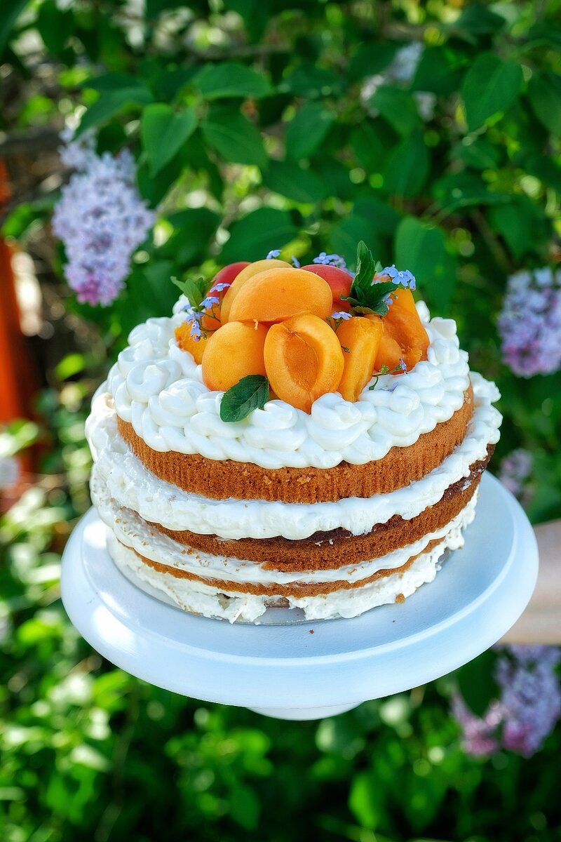 Итальянский бисквит (Italian Sponge Cake Pan di Spagna)