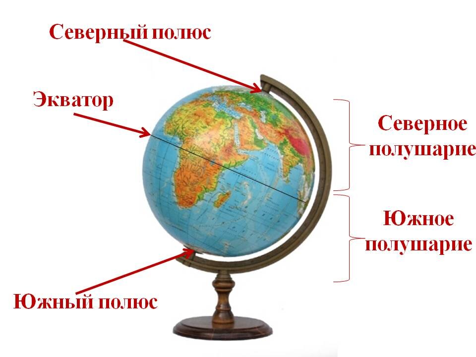 На поверхности глобуса проведены 12