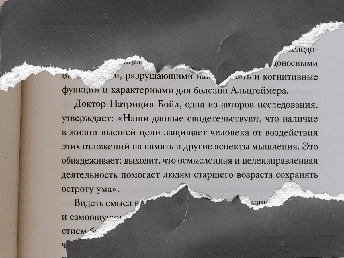 Работа только из-за заработка не приносит пользы ни человеку, ни окружающим  (основано на научных исследованиях) | Анастасия Ефимова | Дзен