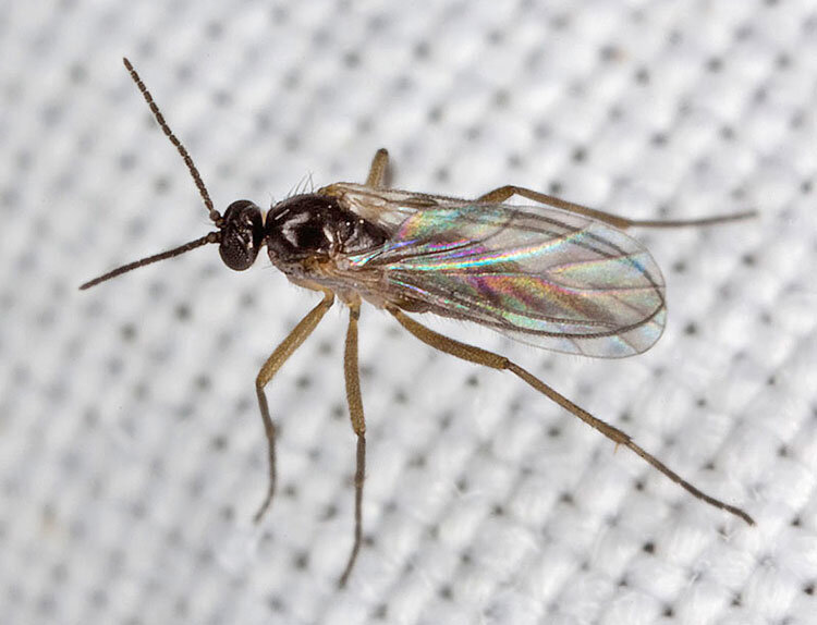 Фото взято с сайта fishing-mityaevo.ru