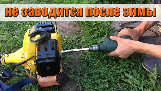 Ремонт Stihl FS 38 в Киеве по выгодной цене от грн. | Сервисный центр SADTEX