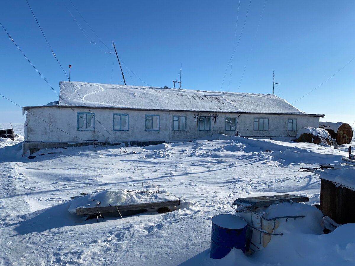 Где самые северные грядки в России? Как семья полярников в парнике на ...