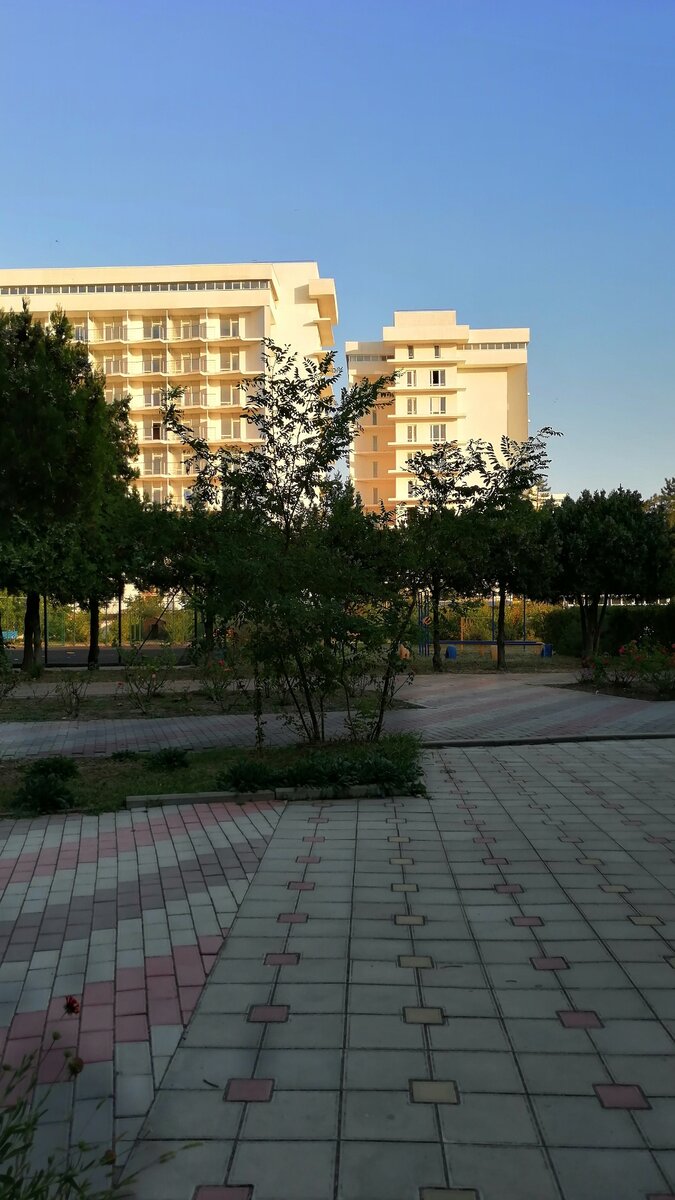 2019 год. 