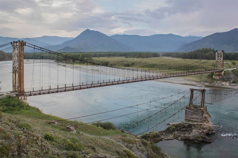 Амур республика алтай. Тюнгур мост через Катунь. Мульта село горный Алтай. Мульта Усть-Коксинский район. Мост Усть кокса.