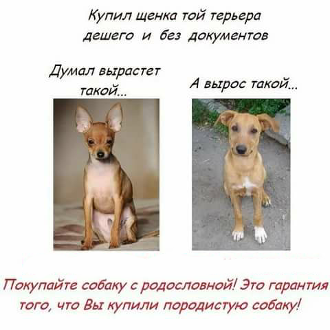 Фото из свободных источников. Корректировка автора.