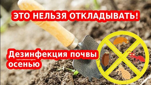 Обработка почвы осенью, дезинфекция и подготовка к следующему году