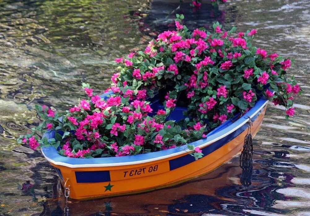 клумба лодка. клумба на воде. клумбы на воде. плавающая клумба. клумбы на воде.