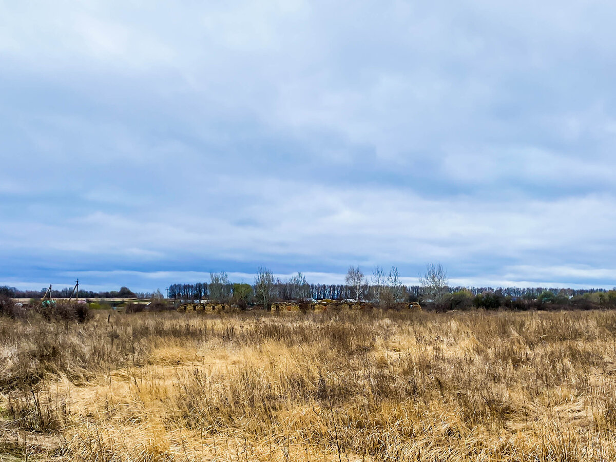 Тундра село Никольское