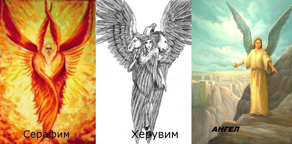 Изображение  взято с просторов интернета.