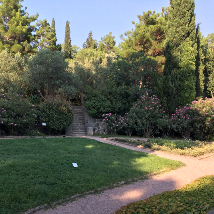 Алупка. Воронцовский парк. Фото автора