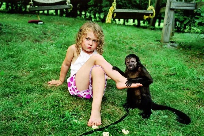 Робин Шварц