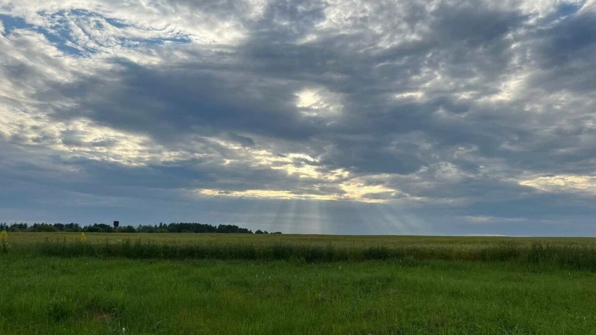     Духовное управление мусульман РТ опубликовало в своем Telegram-канале молитвы. Они затрагивают защитников Родины, отправляющихся в путь и победу над врагом.