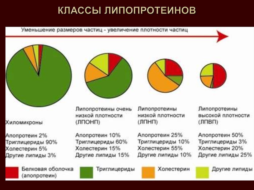 Поскольку мы (очень примерно) знаем, какой процент холестерина содержится в липопротеинах низкой или высокой плотности, мы косвенно можем, измерив холестерин, содержащийся в той или иной фракции липопротеинов, получить приблизительное представление о содержании в крови самих липопротеинов. 