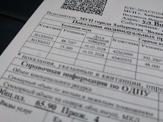     Нам пишут: хабаровский «Водоканал» звездочкой вгоняет потребителей в долги / Ольга Кива