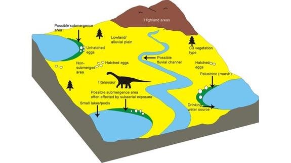    Фото: Dhiman et al., 2023, PLOS ONE; (CC-BY 4.0, livescience