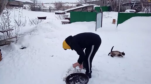 Сама себе хозяйка дзен последнее видео