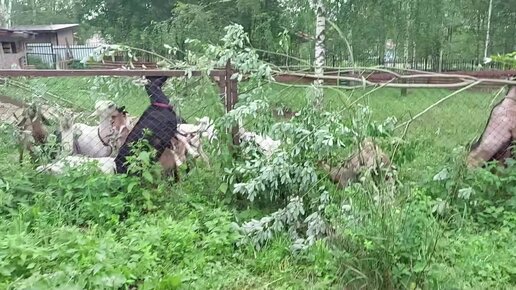 Потому она так и называется 