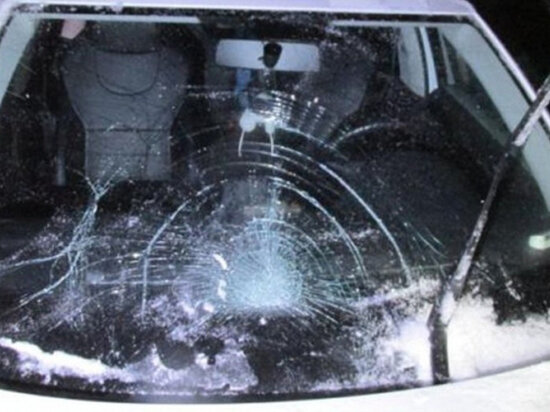     Фото: УМВД России по Томской области