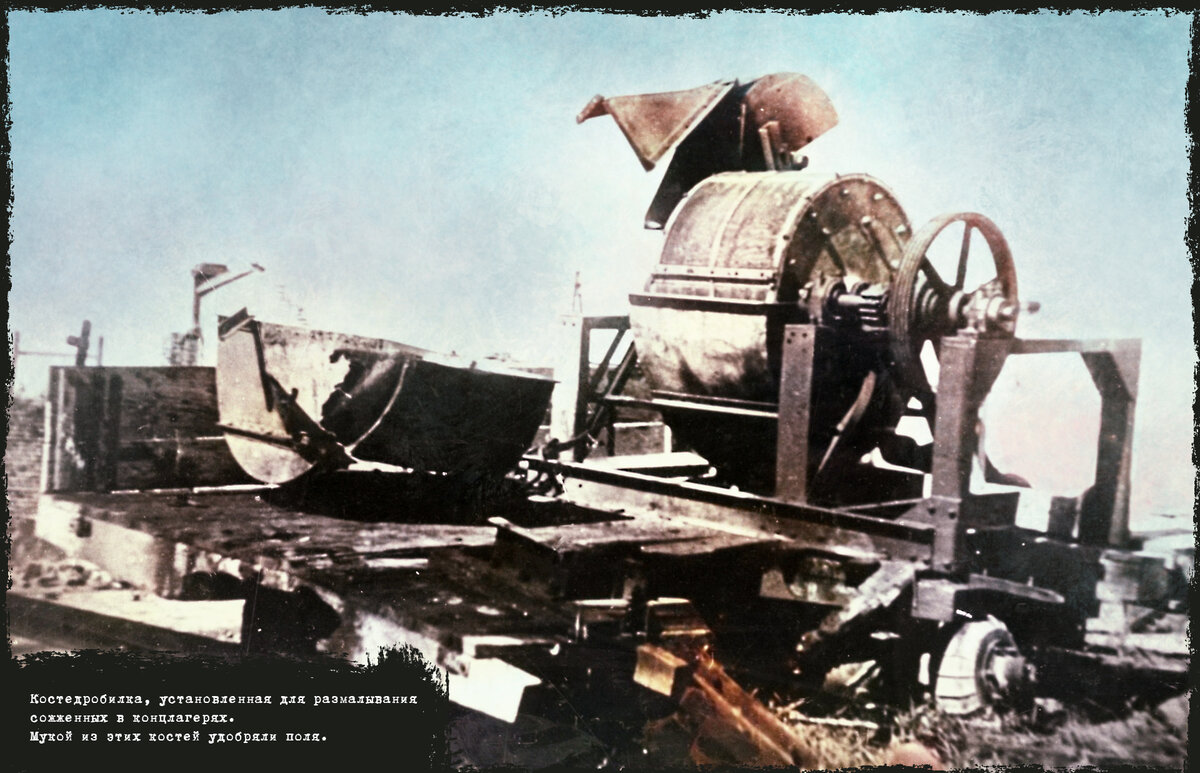 1944 год, фото Виктора Темина, колоризация от канала "Жизнь покажет".