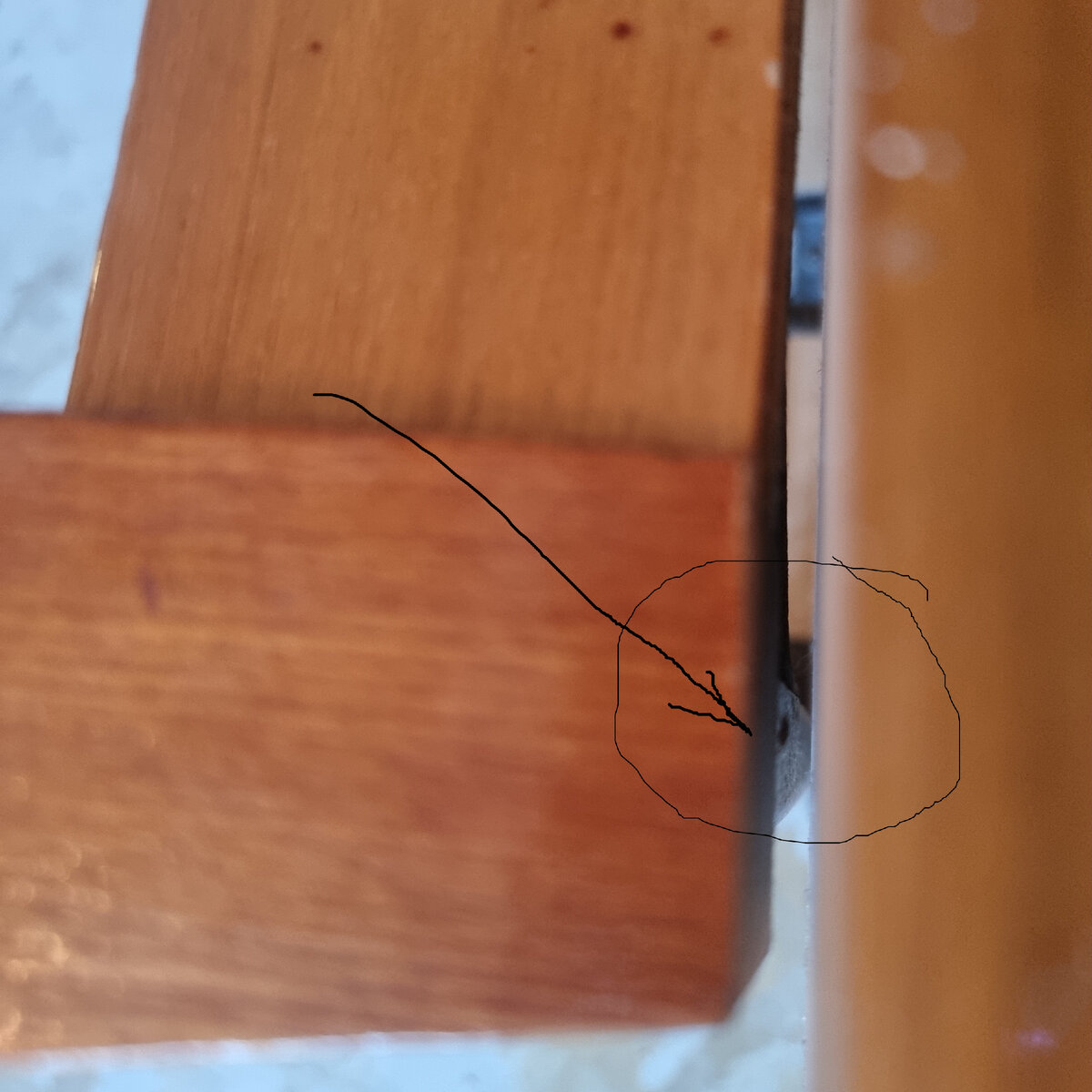 клопы сидят в стыках