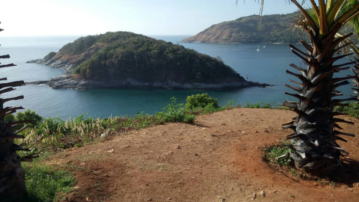 Фото автора.
