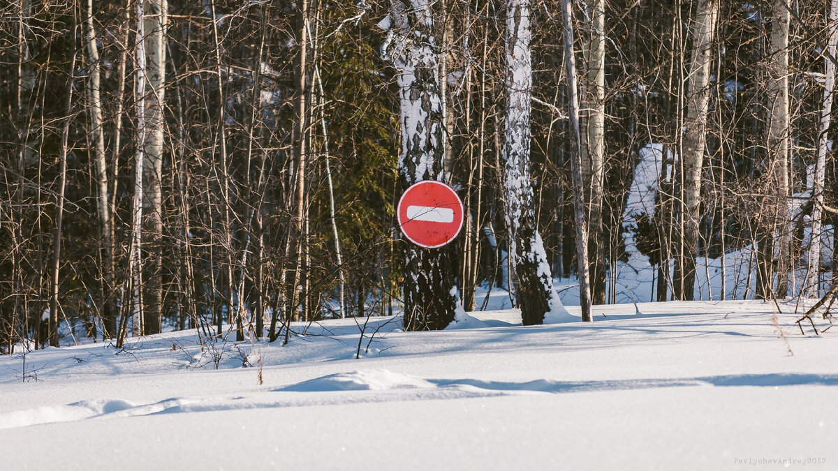 фото Андрея Павлычева