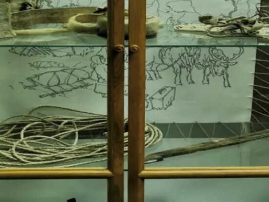     Фото: ИА Север-Пресс/МВК имени Шемановского