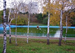    Фото: odessa.travel Ирина Амелина