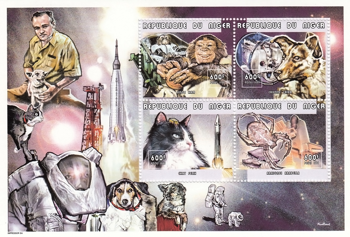 Сколько собак летало в космос. Животные в космосе марки. Советские животные в космосе это. Собаки в космосе. Лайка в космосе Почтовая марка.