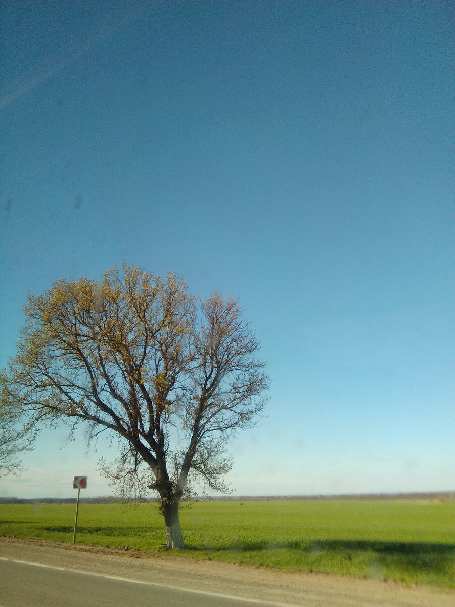 Где-то между Новороссийском и Краснодаром 