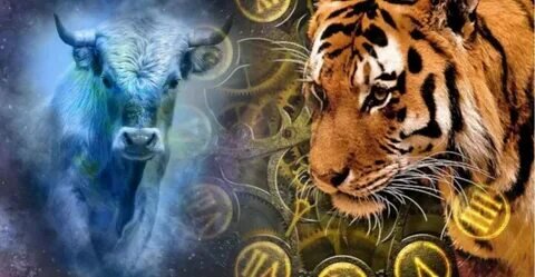 Фото из интернета в свободном доступе 