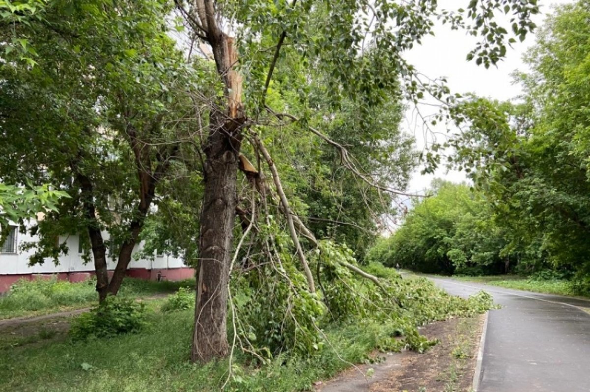    МЧС Башкирии предупреждает об опасных погодных условиях и ветре до 26 м/с