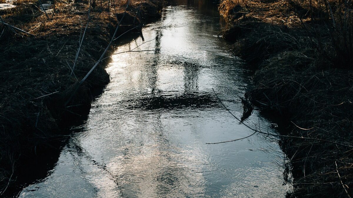     Уровень воды в реке поднялся за ночь. Об этом сообщили в группе Калевальского района в соцсетях.