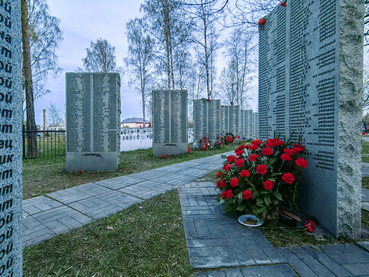 В этих местах пали смертью 360 000 советских воинов. Мемориал в пос.  Синявино, где захоронен Герой Советского Союза Гончар П.И. | Олег Еверзов |  Дзен