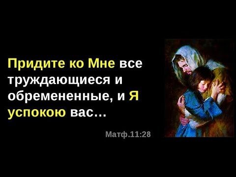 Из открытых источников Яндекса.