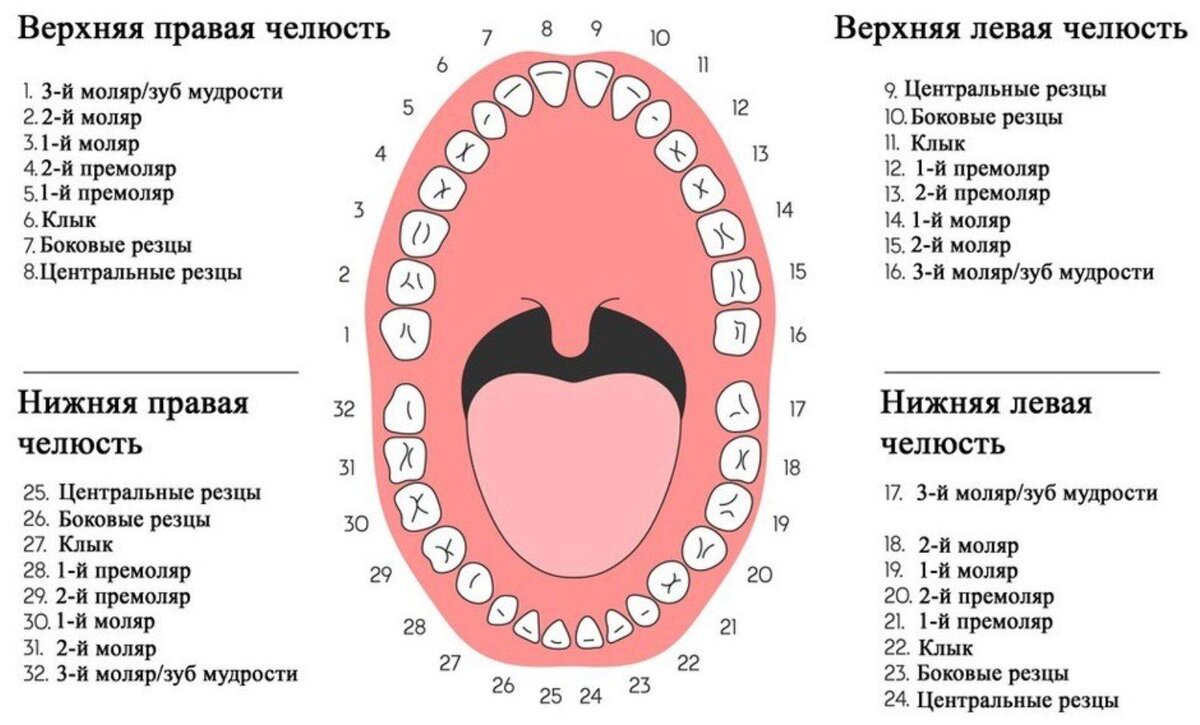 Номер зубного