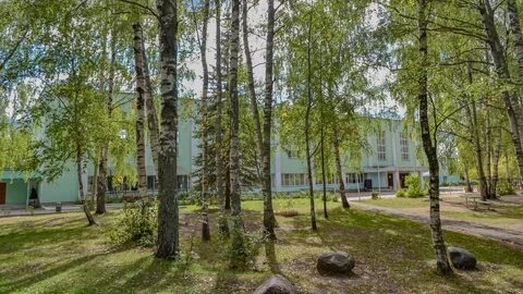 Фото не автора. С просторов сети